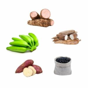 Combo Agro